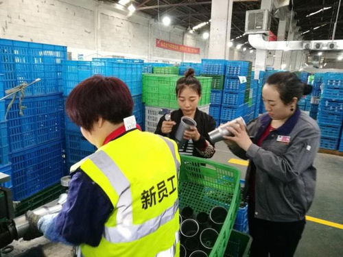 從職場新人到業務骨干 工廠精細化管理下的新員工成長攻略——朗歐咨詢分享